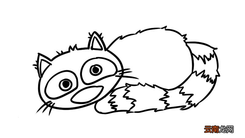 麝香猫简笔画 麝香猫简笔画怎么画