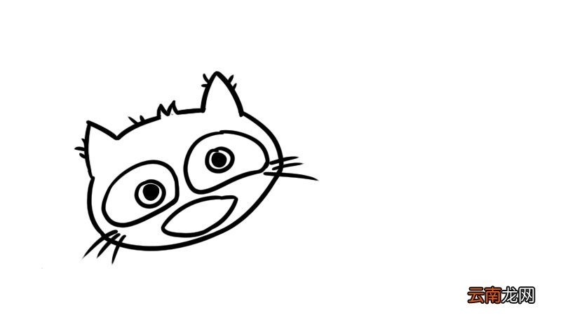 麝香猫简笔画 麝香猫简笔画怎么画