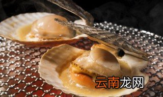 贝类回家怎么储存 活的贝类海鲜怎么保存