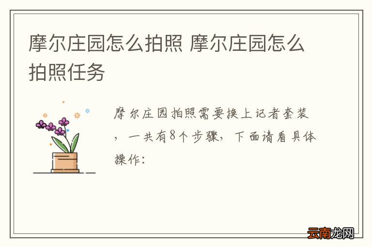 摩尔庄园怎么拍照 摩尔庄园怎么拍照任务