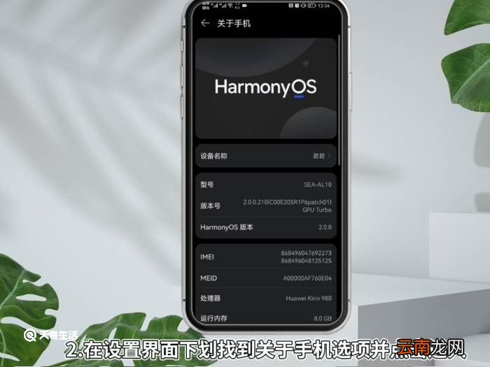 怎么打开开发者选项 打开开发者选项