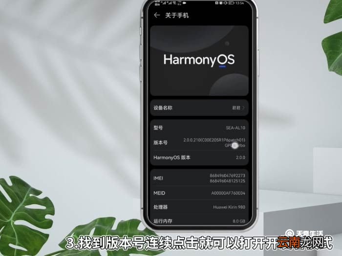 怎么打开开发者选项 打开开发者选项
