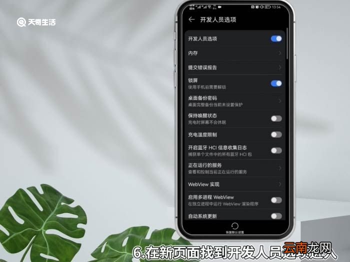怎么打开开发者选项 打开开发者选项