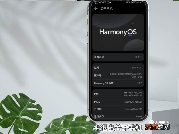 怎么打开开发者选项 打开开发者选项