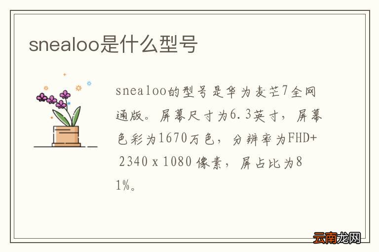 snealoo是什么型号