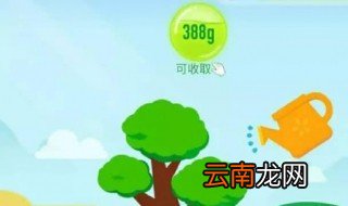 蚂蚁森林怎么退出合种 蚂蚁森林是什么
