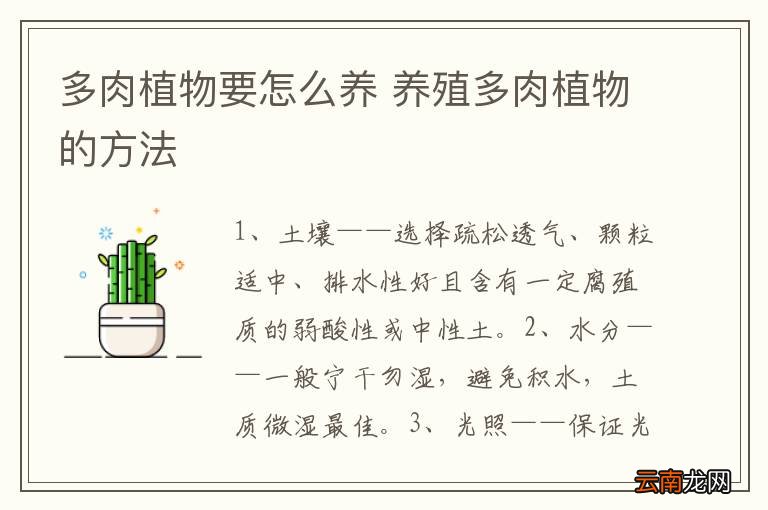 多肉植物要怎么养 养殖多肉植物的方法