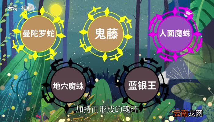 唐三的魂环分别是什么 唐三的魂环是什么魂兽