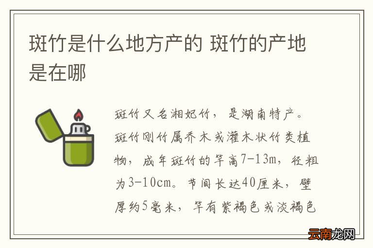 斑竹是什么地方产的 斑竹的产地是在哪