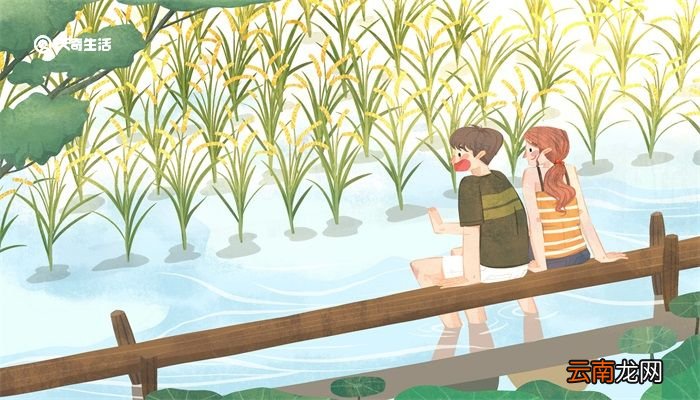 小满节气诗谚 小满节气诗谚有哪些