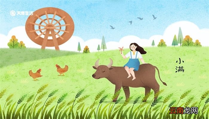 小满节气诗谚 小满节气诗谚有哪些