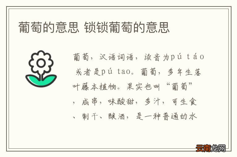 葡萄的意思 锁锁葡萄的意思