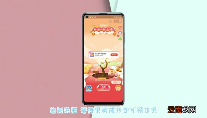 支付宝种树领水果在哪 支付宝怎么种树领水果