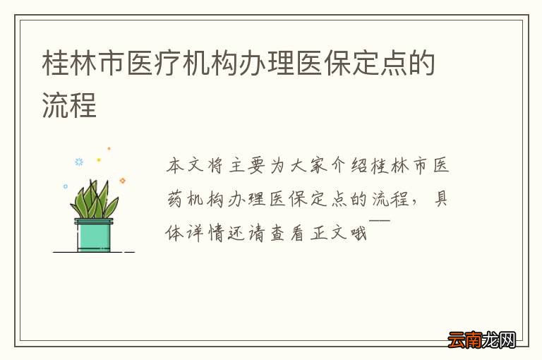 桂林市医疗机构办理医保定点的流程