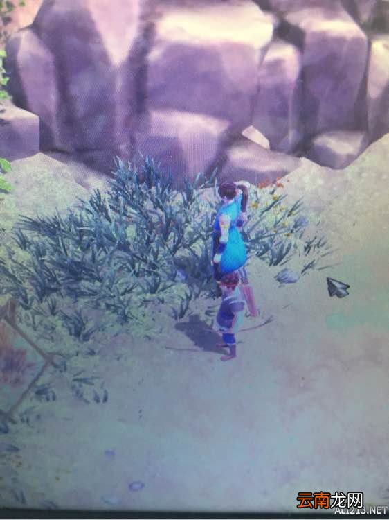 《侠客风云传》杜康村任务完全过关解析攻略