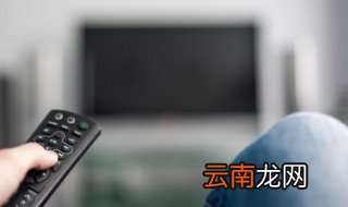 陈潇潇个人资料 陈潇潇简介