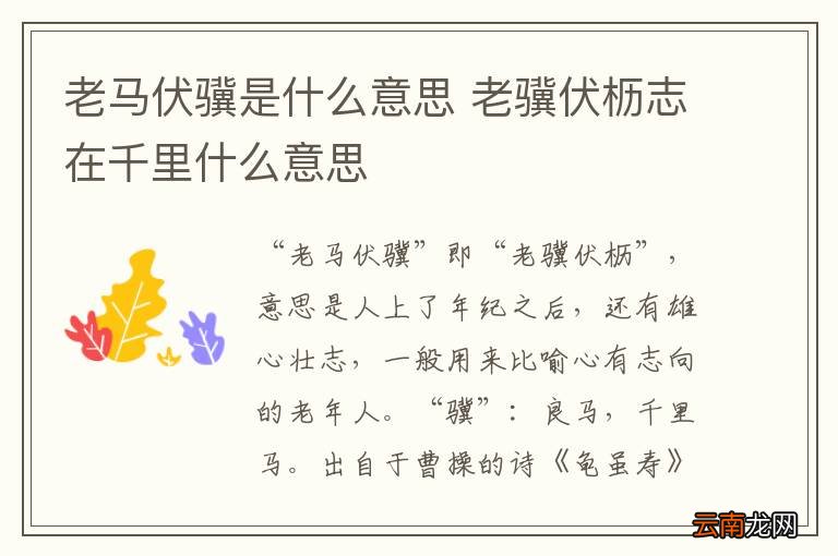 老马伏骥是什么意思 老骥伏枥志在千里什么意思