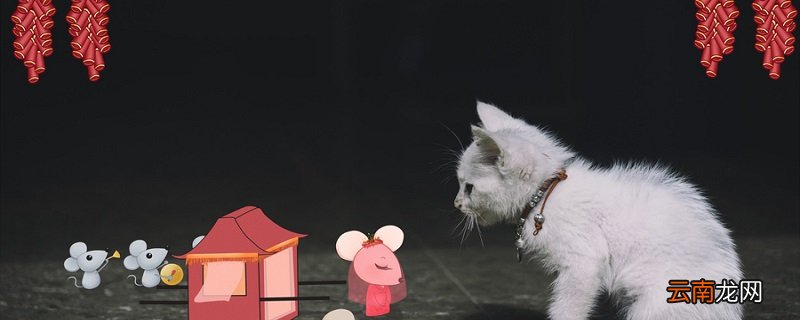 猫和老鼠的故事说明什么道理 猫和老鼠告诉我们什么道理