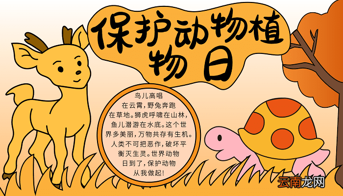 保护动物植物日手抄报 保护动物植物日的手抄报怎么画