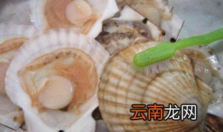 扇贝怎么去腥味 扇贝如何去腥味