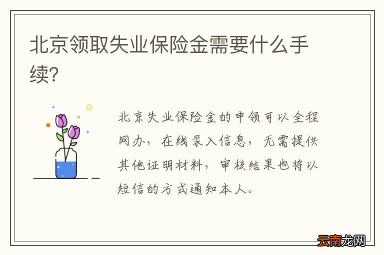 北京领取失业保险金需要什么手续？