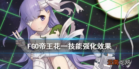 FGO帝王花技能强化翻译 FGOCCC复刻金普洛提亚技能本效果解读
