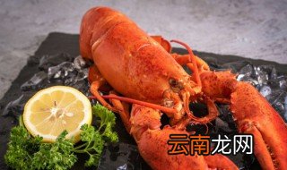 龙虾养殖方法 龙虾养殖方法是什么