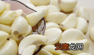 盆栽大蒜的种植方法 盆栽大蒜的种植