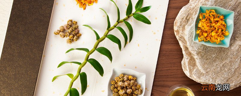 石斛什么时候开花