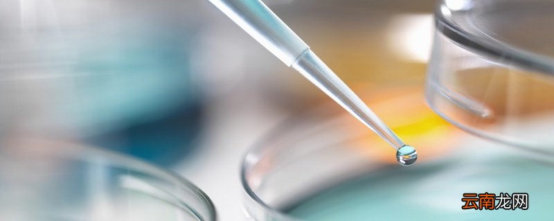 锌和盐酸反应的化学方程式 锌和盐酸反应的化学方程式是什么