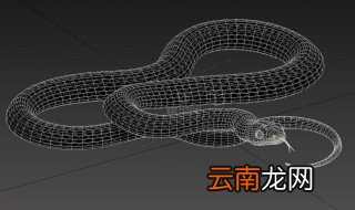 湛江雷州黑蛇公来历 你知道么