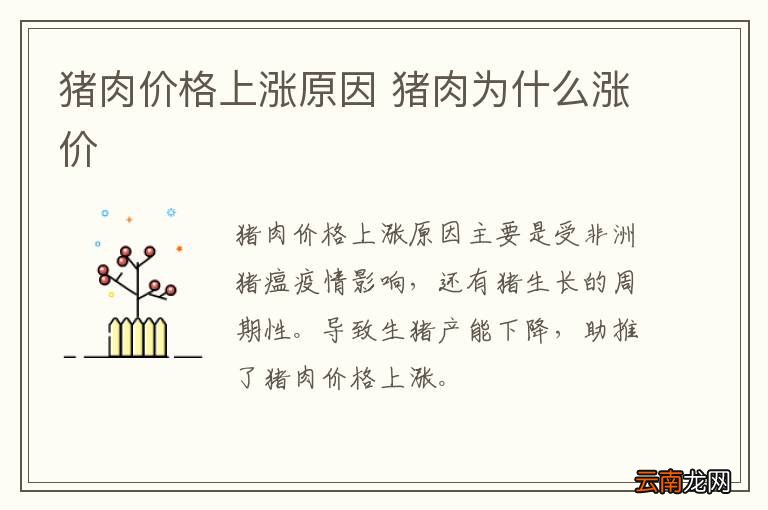 猪肉价格上涨原因 猪肉为什么涨价