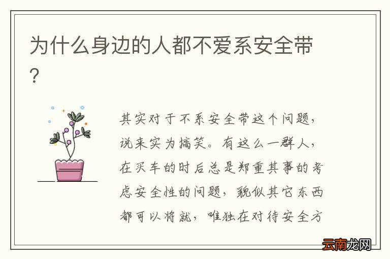 为什么身边的人都不爱系安全带？
