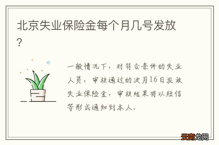 北京失业保险金每个月几号发放？
