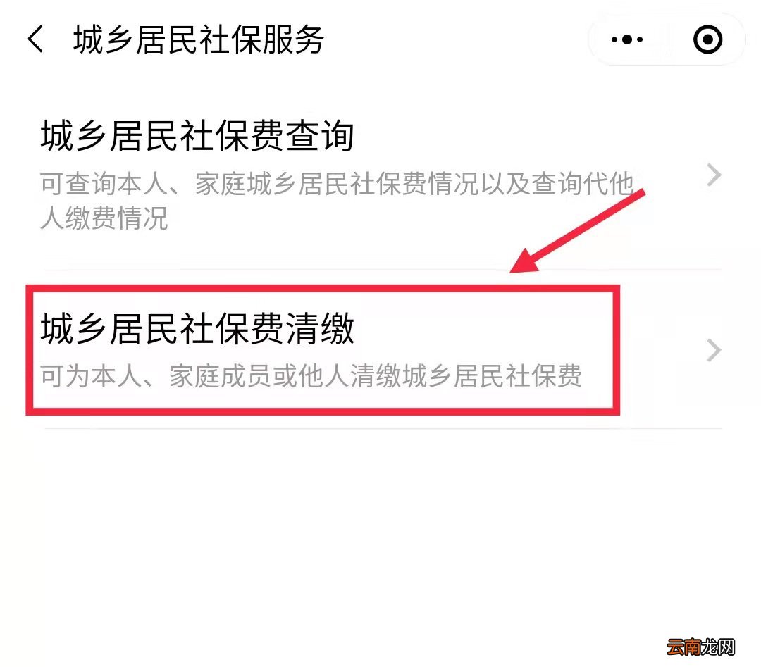 2022年度广州市城乡医保可以网上办理吗？