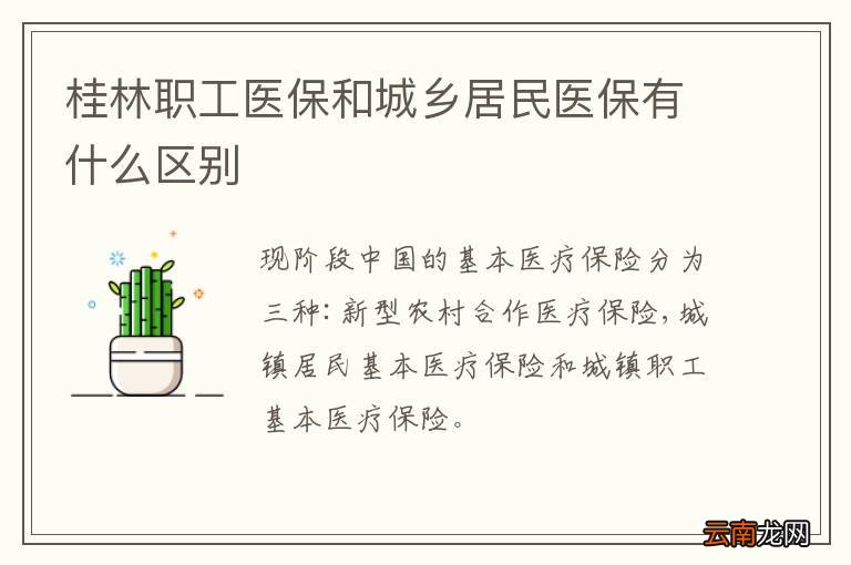 桂林职工医保和城乡居民医保有什么区别