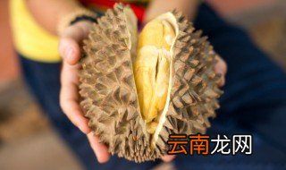 榴莲长在树上还是地上 榴莲是长在什么地方的
