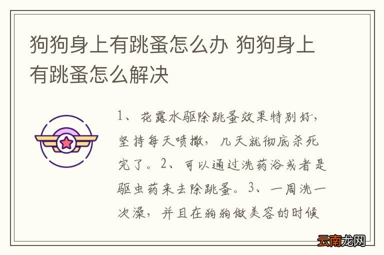 狗狗身上有跳蚤怎么办 狗狗身上有跳蚤怎么解决