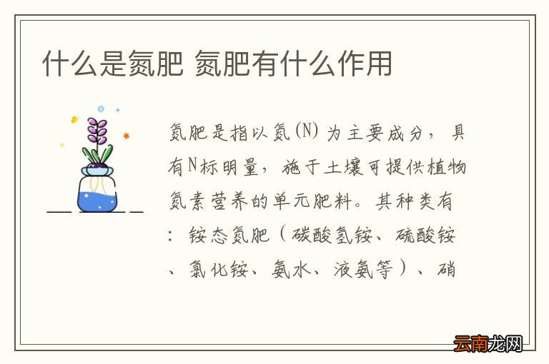什么是氮肥 氮肥有什么作用