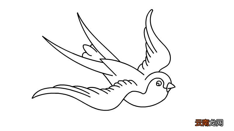 动物迁徙简笔画动物迁徙简笔画怎么画