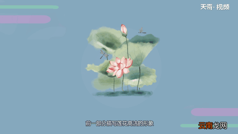 爱莲说原文朗读视频 爱莲说