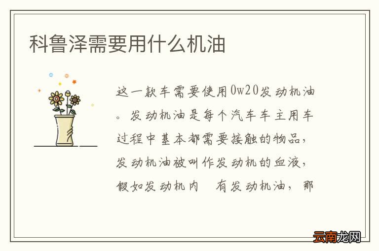 科鲁泽需要用什么机油