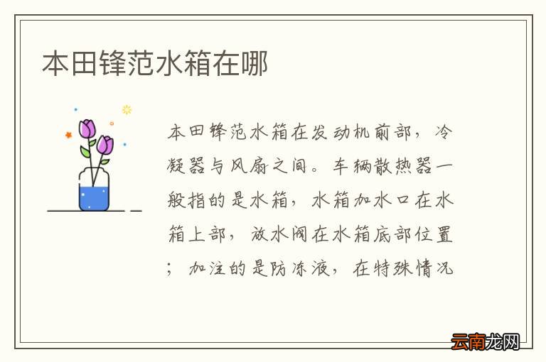 本田锋范水箱在哪