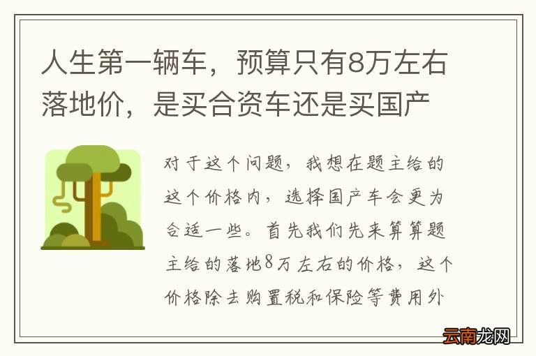 人生第一辆车，预算只有8万左右落地价，是买合资车还是买国产的？