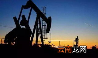 石油是什么 石油的解释