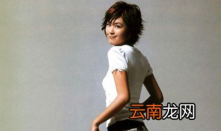 唐宁个人资料简介 唐宁个人资料介绍