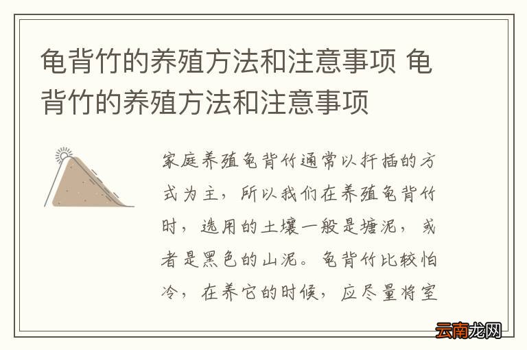龟背竹的养殖方法和注意事项 龟背竹的养殖方法和注意事项