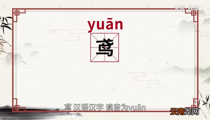 鸢怎么读 鸢的读音