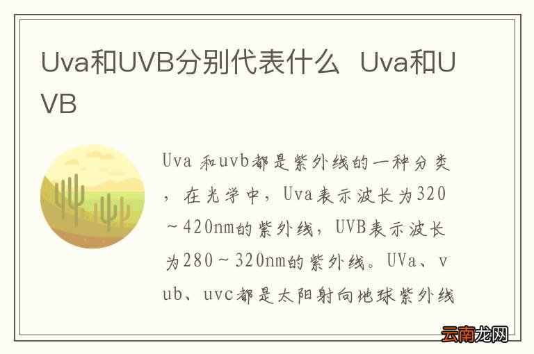 Uva和UVB分别代表什么Uva和UVB