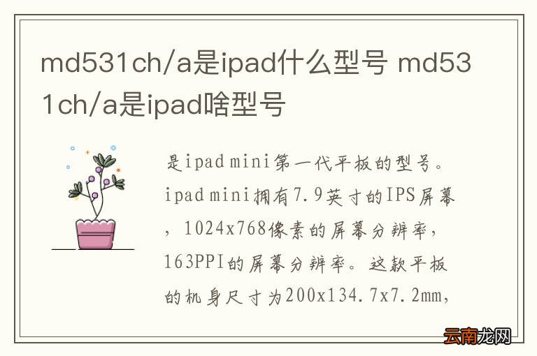 md531ch/a是ipad什么型号 md531ch/a是ipad啥型号